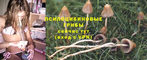 метадон Лиски