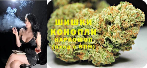 шишки Лихославль