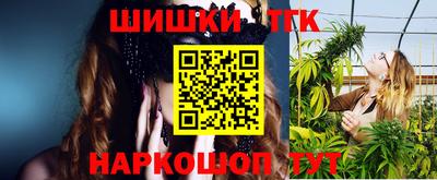 индика Рыбинск