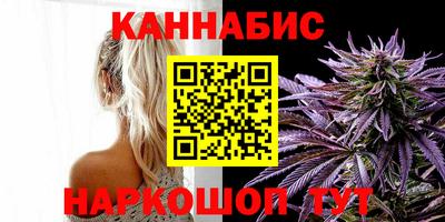 индика Рыбинск