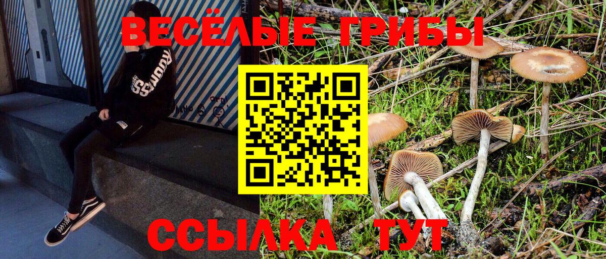 Сертолово  Галлюциногенные грибы прущие грибы  Псилоцибиновые грибы Cubensis  Вход с VPN 