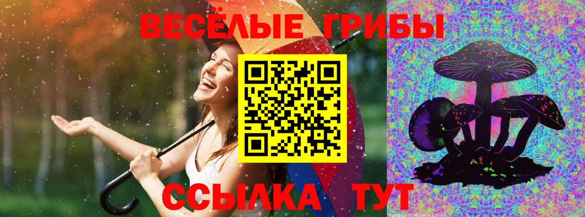 Галлюциногенные грибы Magic Shrooms Сертолово
