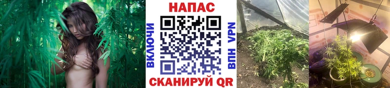 Каннабис LSD WEED  Сертолово 